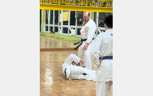 Démonstration d'un bunkai , 2025